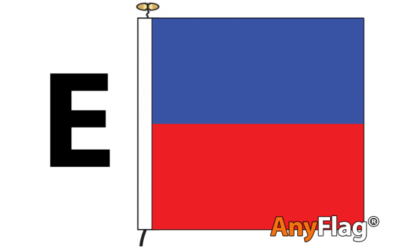Signal Code E Flag (ECHO)